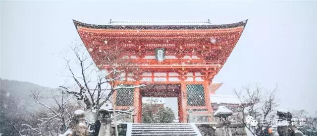 拉面 · 自动贩售机 · 雪｜云之彼岸的日本欢脱之旅