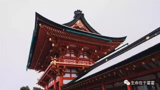 拉面 · 自动贩售机 · 雪｜云之彼岸的日本欢脱之旅