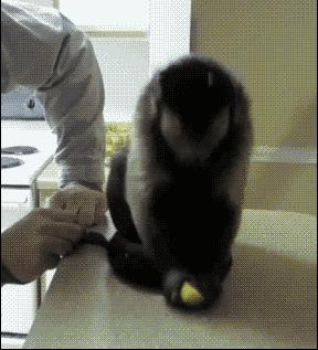 你们女朋友长得怎么样,你们的女朋友怎么样的