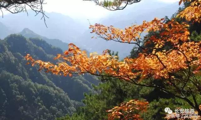 东莞长安有什么好玩的景点,东莞长安景点哪个值得去