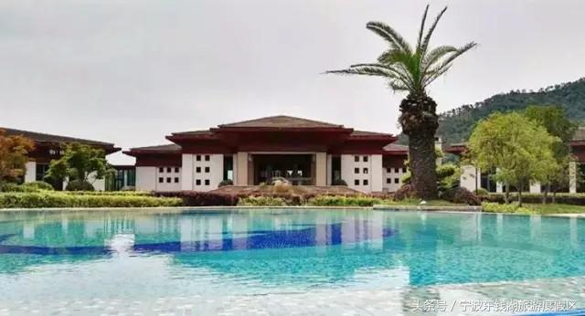 花讯播报泡汤赏花SPA住客房,只在南苑花博园!