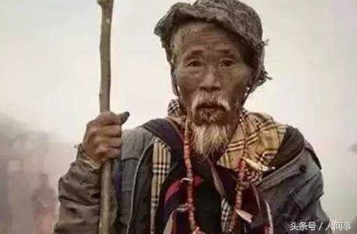 放羊娃寓言故事,放羊老头为儿子找800块金砖的故事