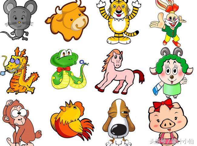 如何通过八字看另一半的生肖,生肖和八字怎么看婚姻状况