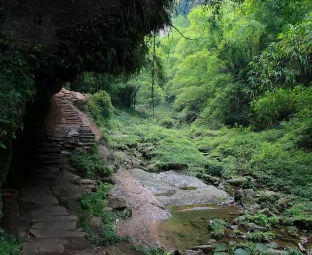 成都春季爬山踏青赏花一日游,成都周边踏青二日游自驾游