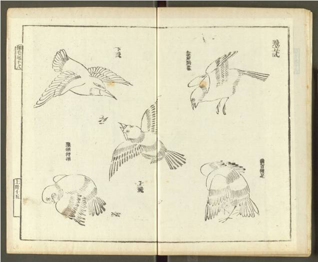 齐白石与芥子园画谱之缘,齐白石画作大全集