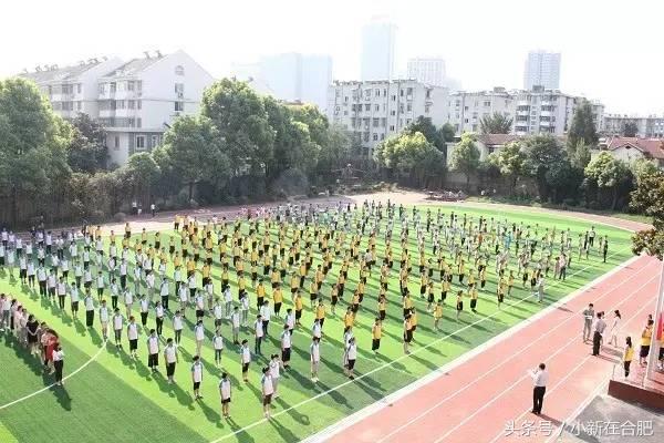 合肥琥珀五环城中学,合肥琥珀中学在哪个区