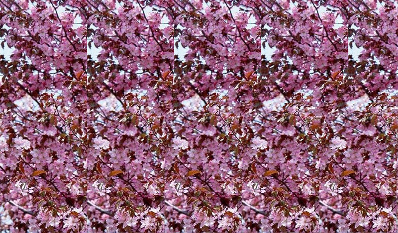 最简单的裸眼3d图,裸眼3d真实片段