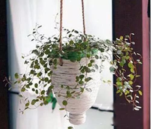 如何用塑料瓶做花盆图解,怎么用塑料瓶做花盆图解