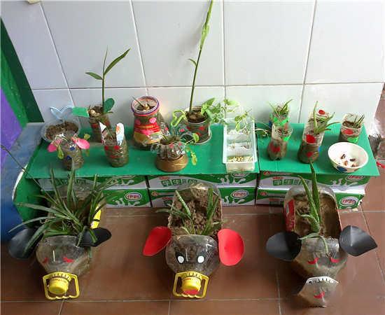 如何用塑料瓶做花盆图解,怎么用塑料瓶做花盆图解