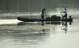 农家学习趣事大全集,农家院趣事