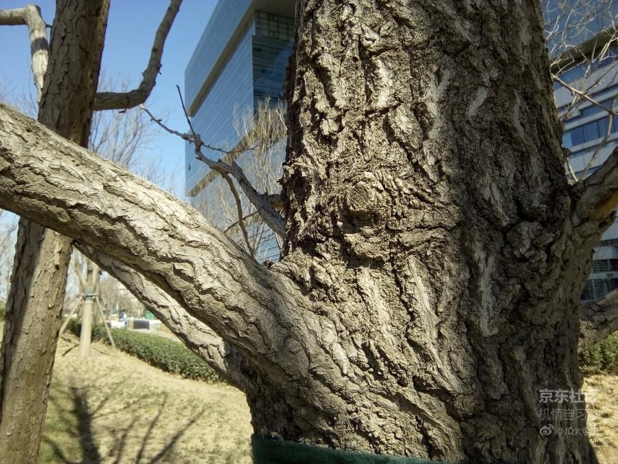 最新魅族flyme系统,魅族flyme10系统评测新功能