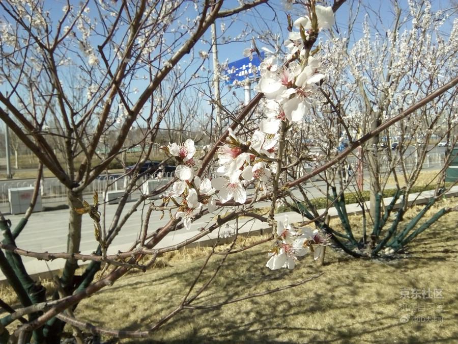 最新魅族flyme系统,魅族flyme10系统评测新功能