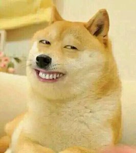 17年已经过去四分之一啦,依然是单身狗的你需要这几个婚恋网站