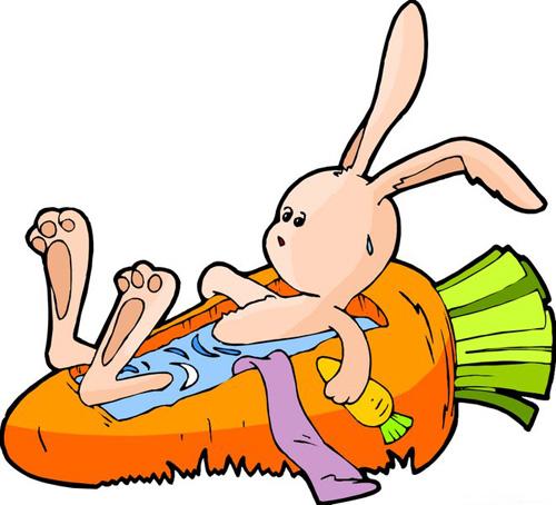 属兔金牛座男人的性格优缺点,属兔男人的性格和优缺点