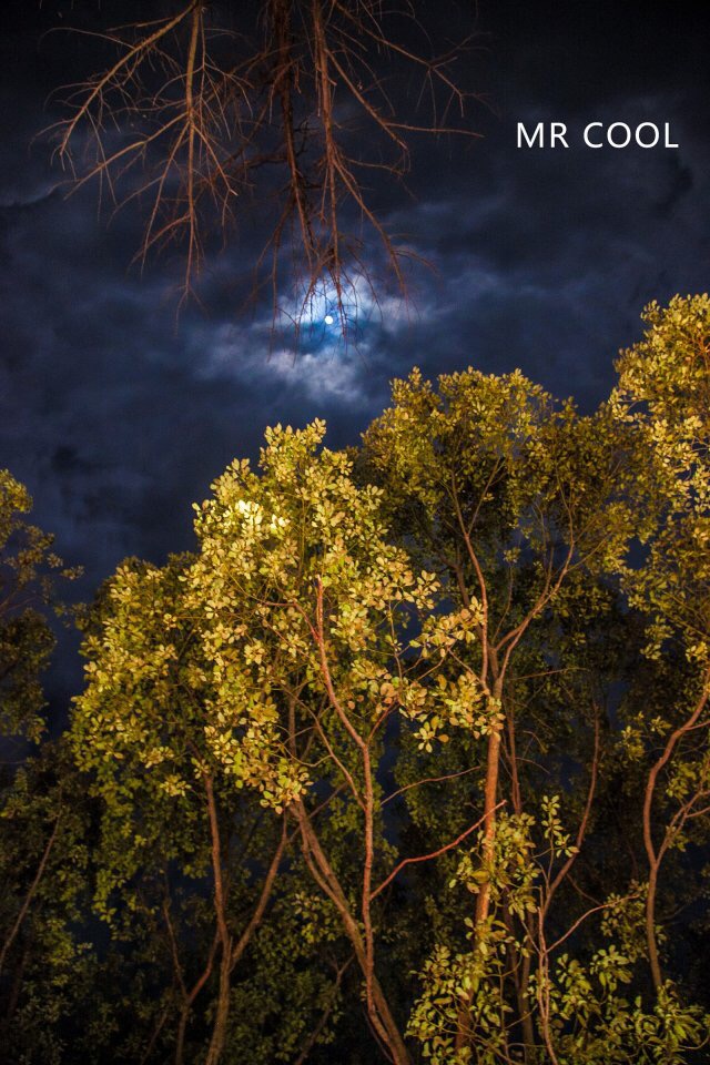 瑞安马屿曹村田园视频,瑞安马屿曹村田园风景图