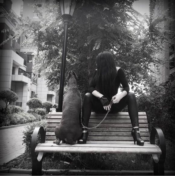 沈阳美女手签德系杜宾,称全家都是杜宾犬铁粉