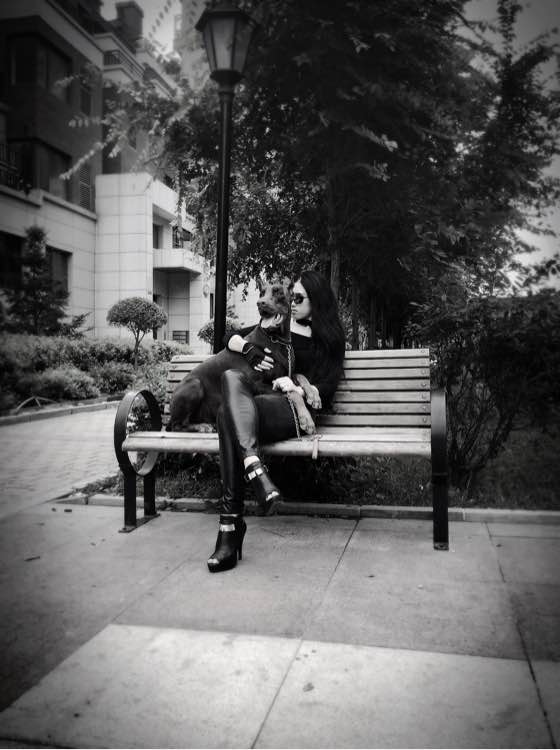 沈阳美女手签德系杜宾,称全家都是杜宾犬铁粉