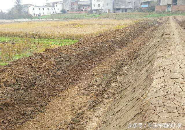 泥鳅可以用网箱养殖吗,台湾泥鳅养殖网箱多少钱