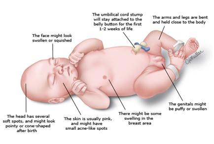 新生儿出产房后一系列流程,新生儿从产房到病房需要注意什么