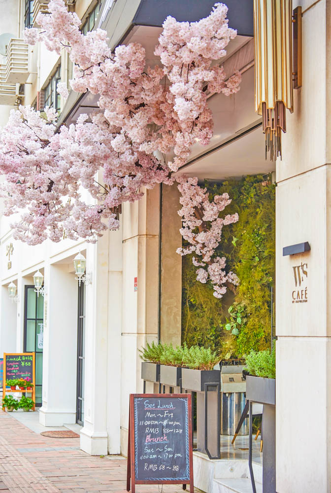 魔都赏樱打卡地,不止星