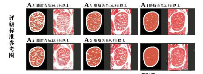 怎样可以拿到一手货源的进口牛肉,进口牛肉如何选购
