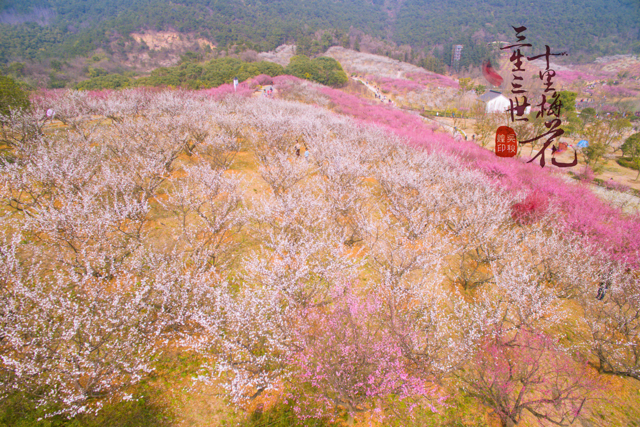 三生三世，十里梅花，遇见张家港