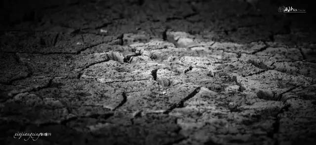 *疆新**，其实并不遥远（4）