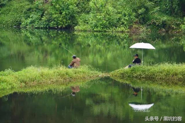 不同天气怎么钓鱼视频,不同天气怎么钓鱼最好看
