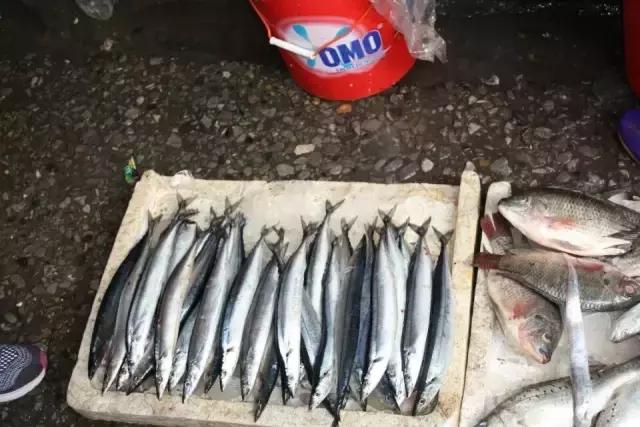 东南亚骑行第三十六天视频,东南亚骑行第二天到玉溪市