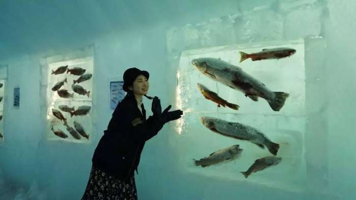 27岁广东妹，决定在日本开一间民宿，你会支持么？