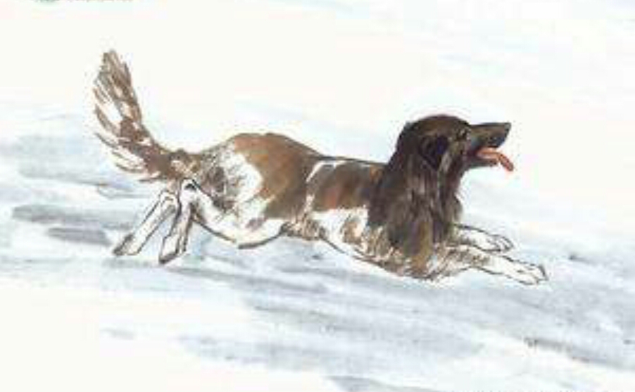 属相中三大属相指哪些,属相中的四大属相都是哪四个