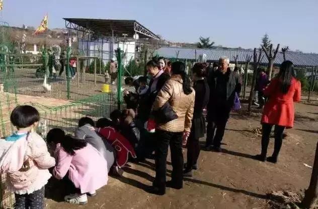 芙蓉姐姐陕西哪里,芙蓉姐姐家乡