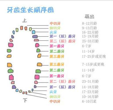 宝宝吃东西总是不吃完留一点,宝宝吃东西不嚼然后会干呕