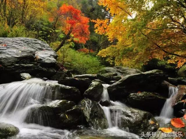 川北名小吃全集,川北特色菜