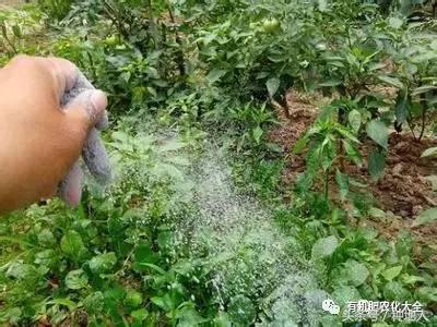 拿什么拯救你的成绩,拿什么拯救废了的你