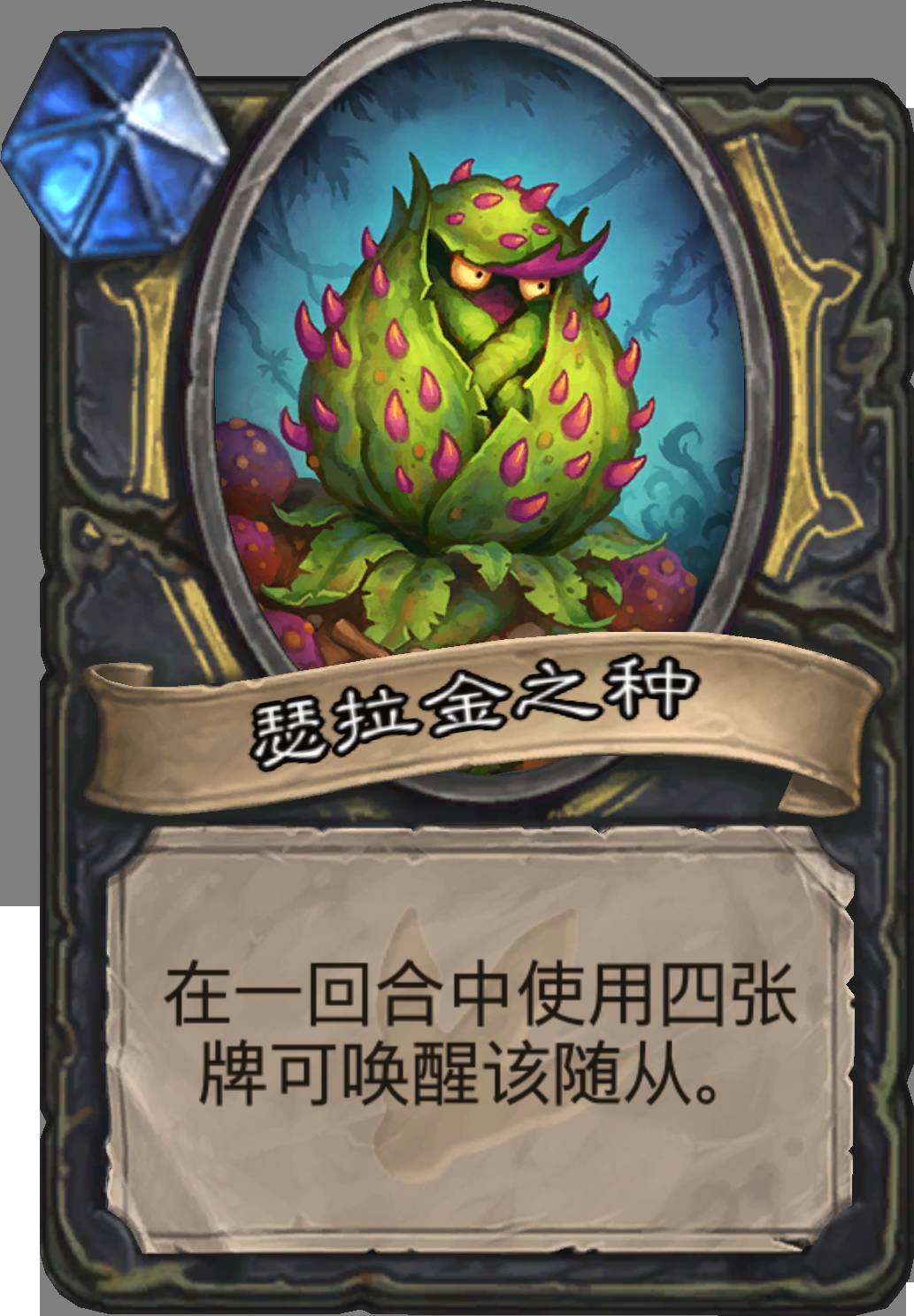 安戈洛加强卡,安戈洛卡组形态