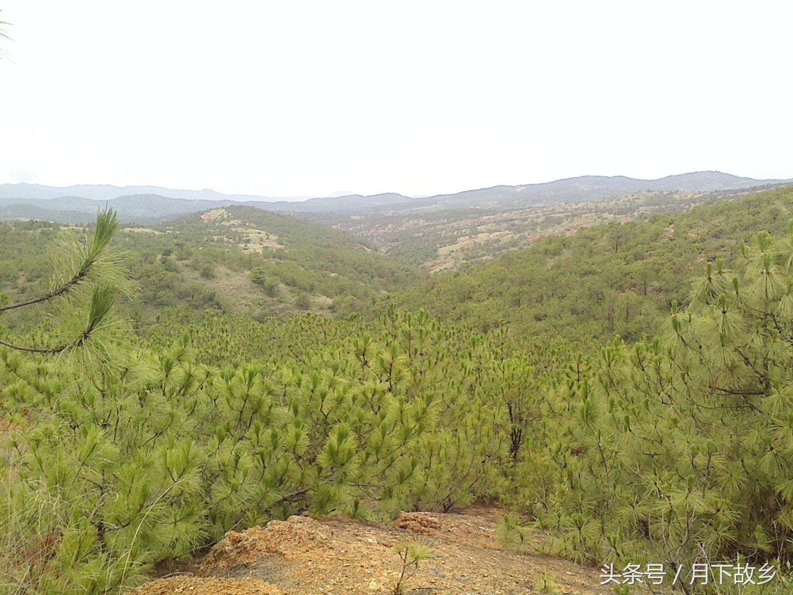 祥云县白族集中地,你所不知道的云南英文版