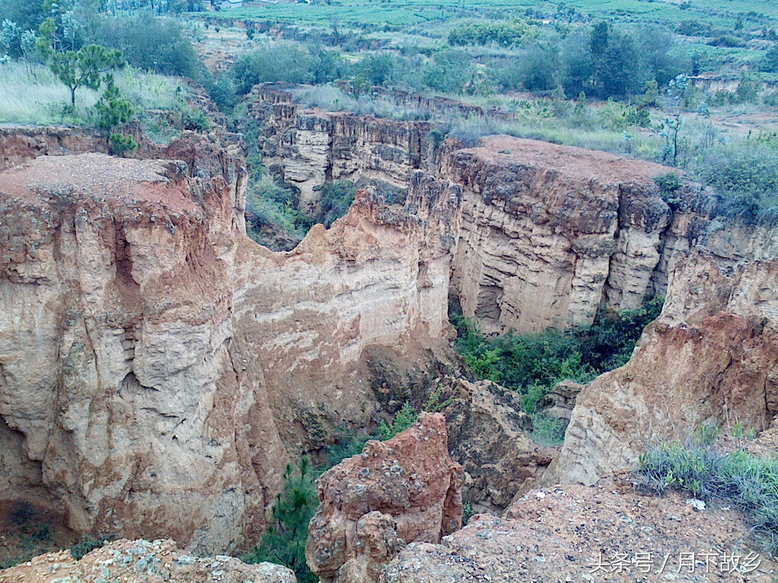 祥云县白族集中地,你所不知道的云南英文版