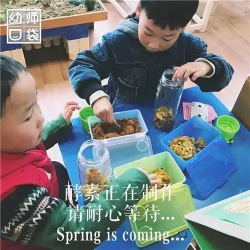 幼儿园如何打造自然区角的环境,复古自然角幼儿园