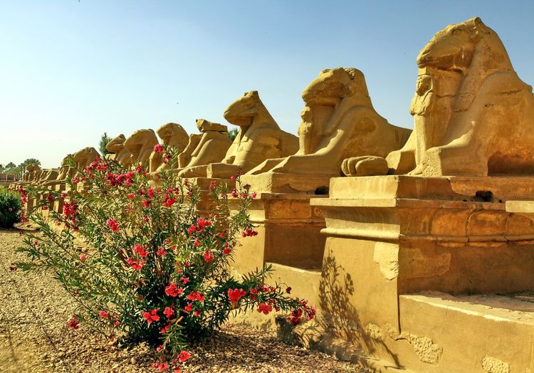 嗨哩文旅丨阿拉伯沙漠明珠、古埃及掠影