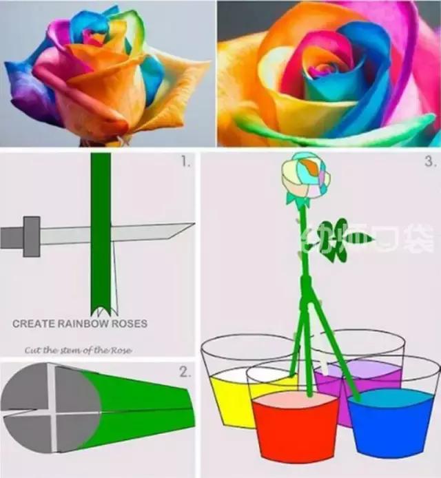 爱不释手的玩具,什么玩具爱不释手