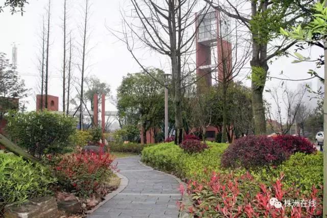 二中今年考得怎么样,二中好进吗