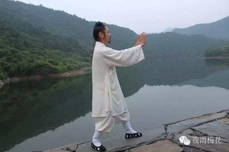 武当太极陈师宇,武当太极十三式陈师宇