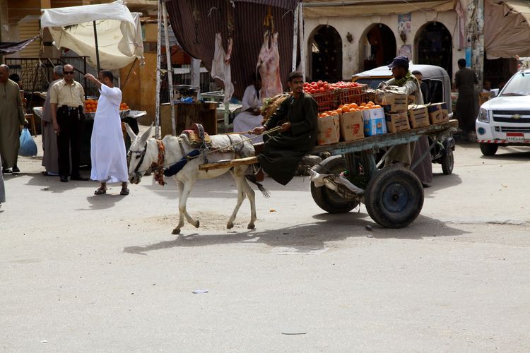 嗨哩文旅丨阿拉伯沙漠明珠、古埃及掠影