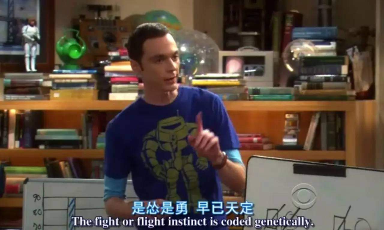 英语怼人必备口语,怎么用英语怼回去