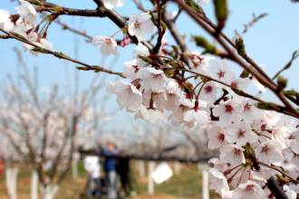 鏃犵嚎鍚堣偉鐩存挱,浠婃棩鍚堣偉鏃╂姤