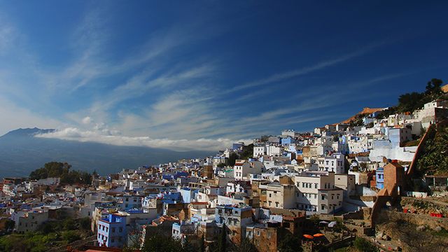 春分时节，有个迪拜土豪看上了你！