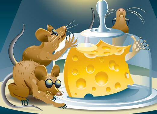 超市怎么抓老鼠最有效室内,如何抓老鼠最有效方法