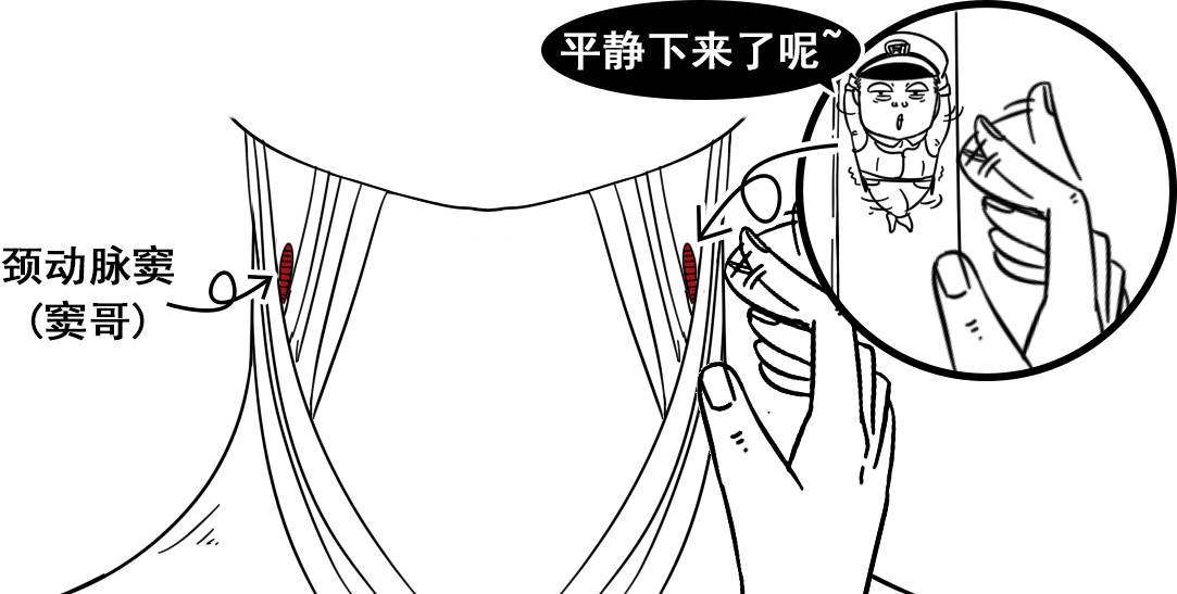 种草莓的几个基本步骤,怎么种草莓才最安全