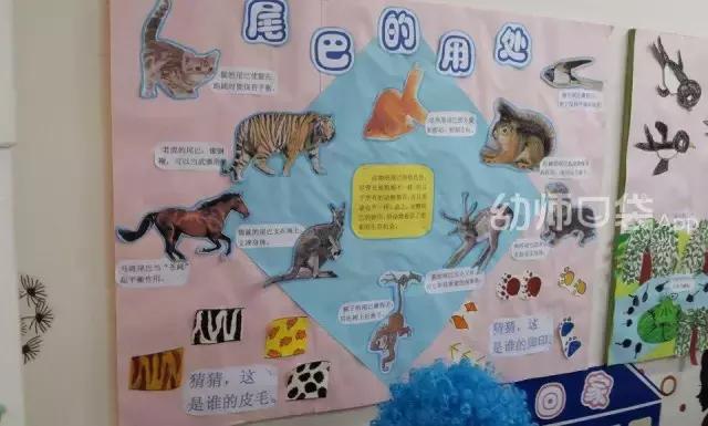 幼儿园都教什么知识,现在的幼儿园都教一些什么